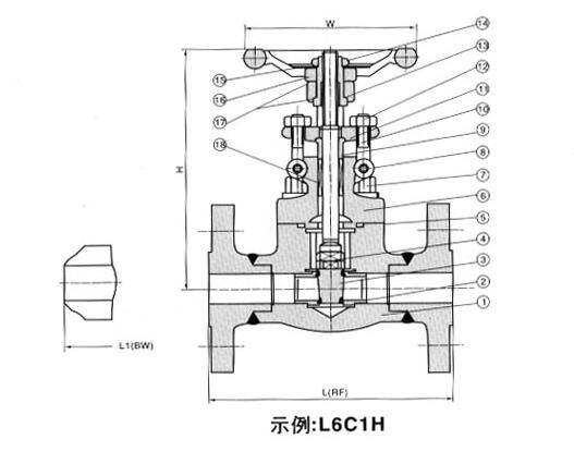 Z41Y͸բ
